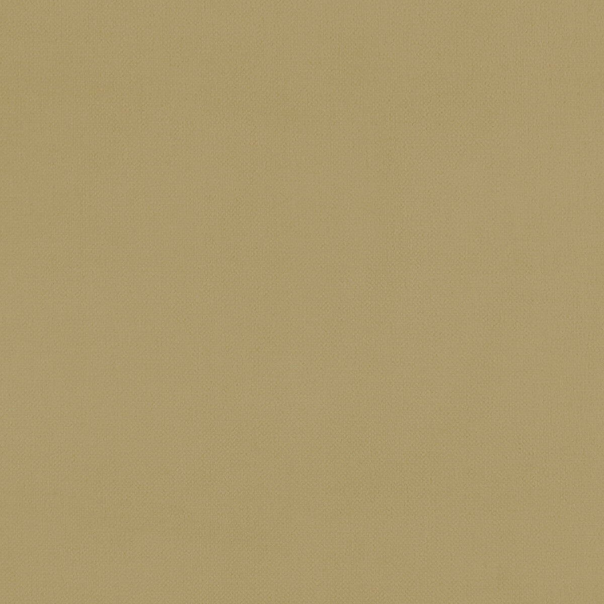 Renzo-Ochre