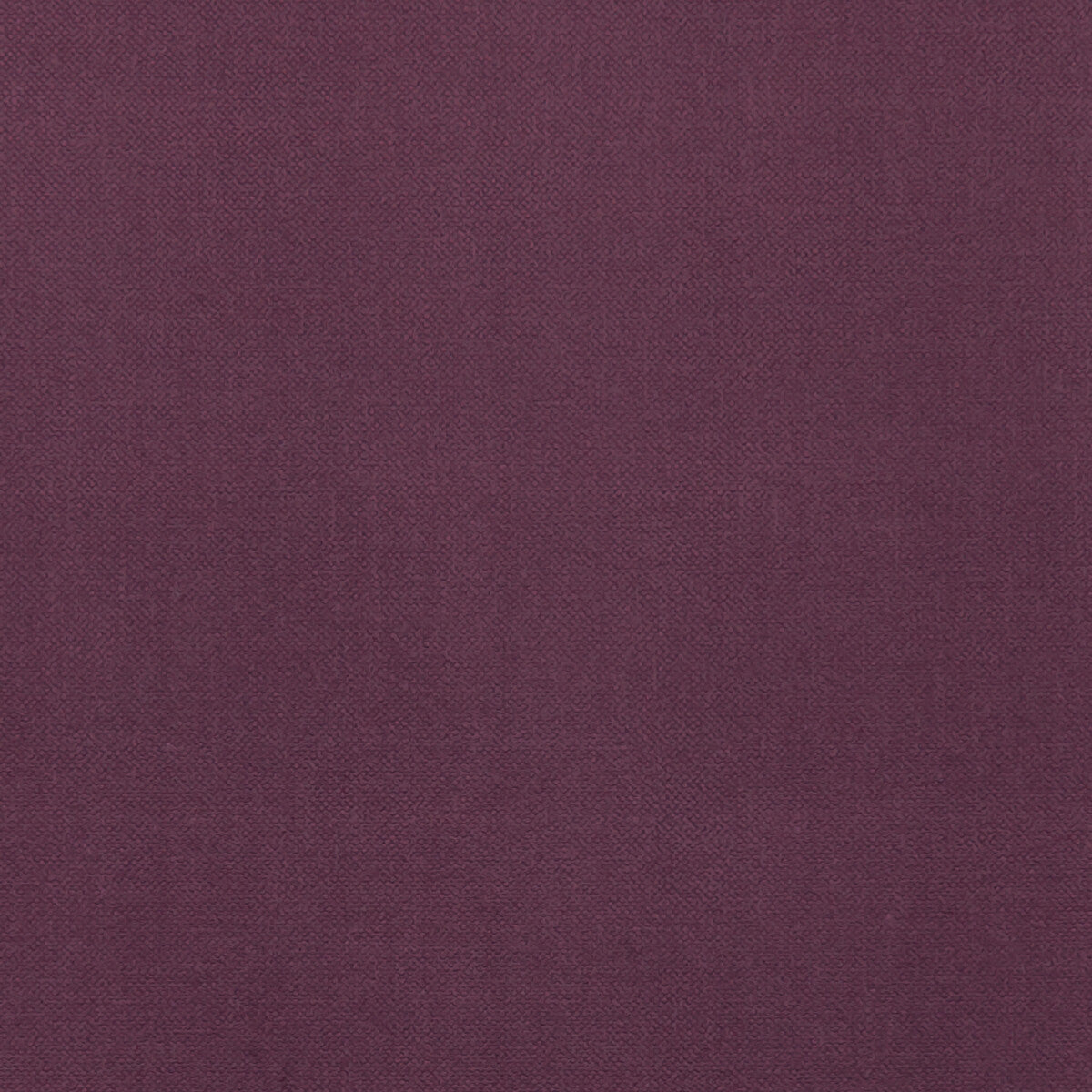 Renzo-Port