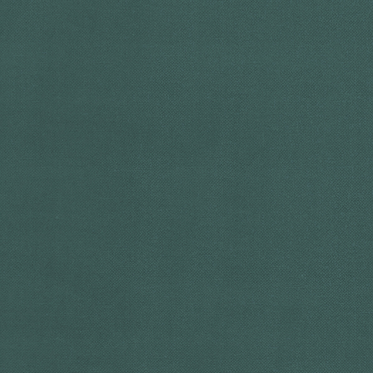 Renzo-Teal