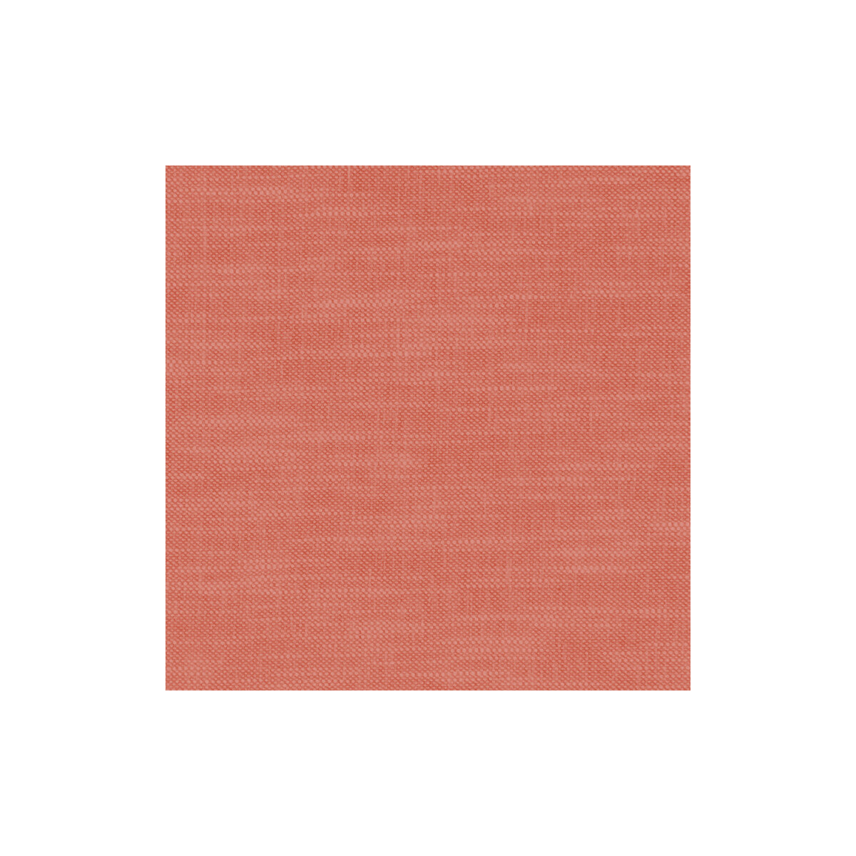 Amalfi-Coral