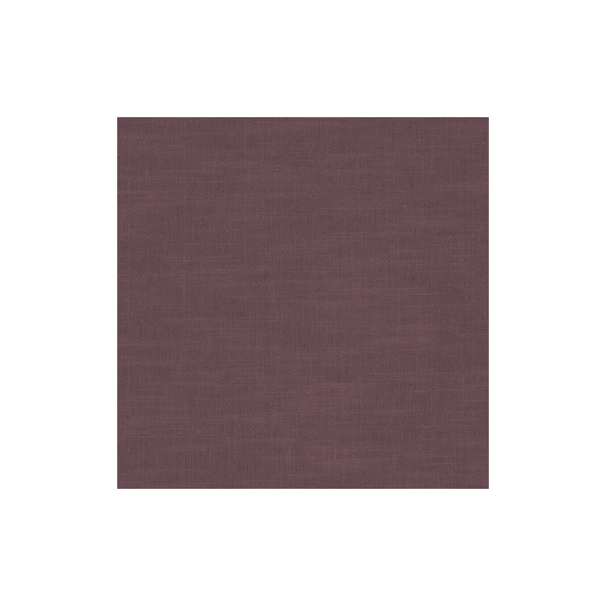 Amalfi-Grape