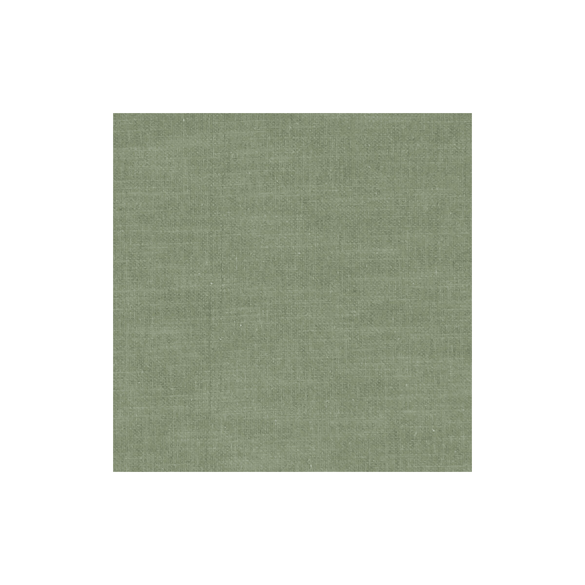 Amalfi-Herb