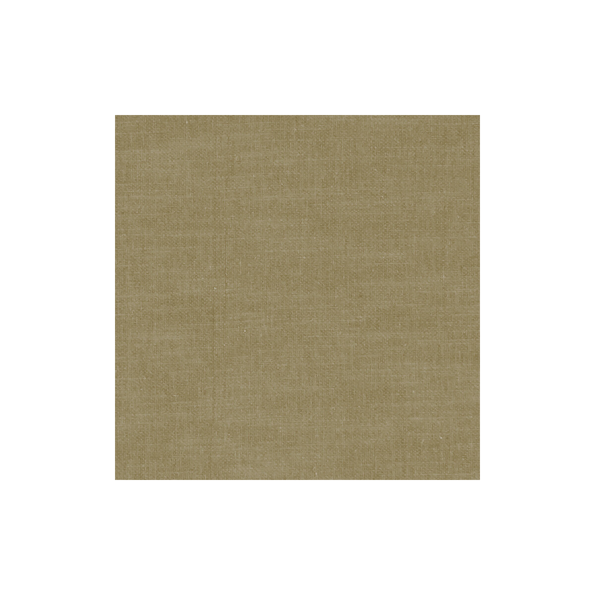 Amalfi-Olive