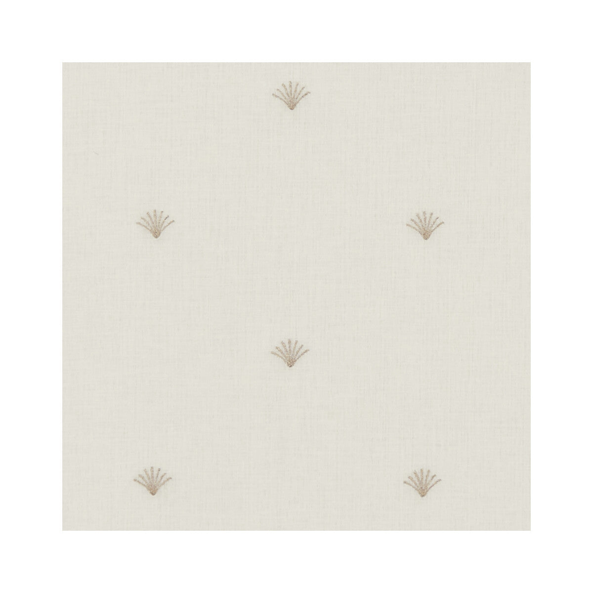 Fino-Ivory/Rose Gold