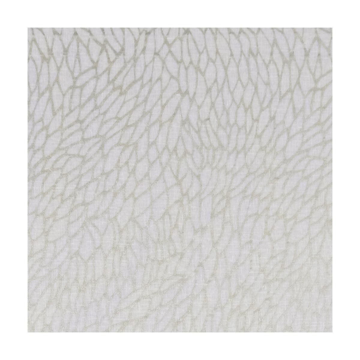Corallino Sheer-Champagne/Gold