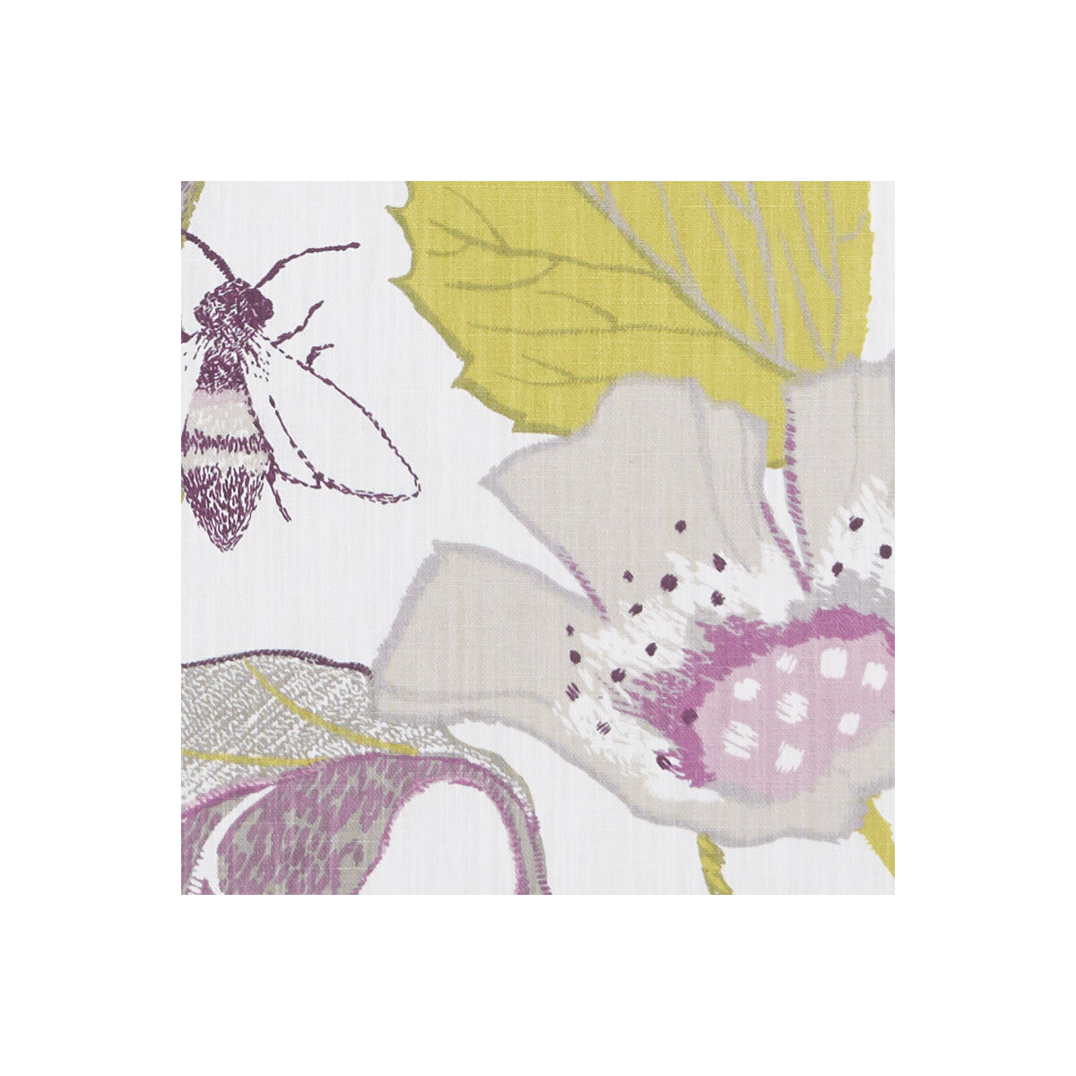 Lotus-Damson/Jade