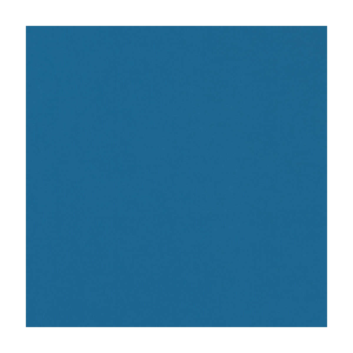 Novara-Bluebird