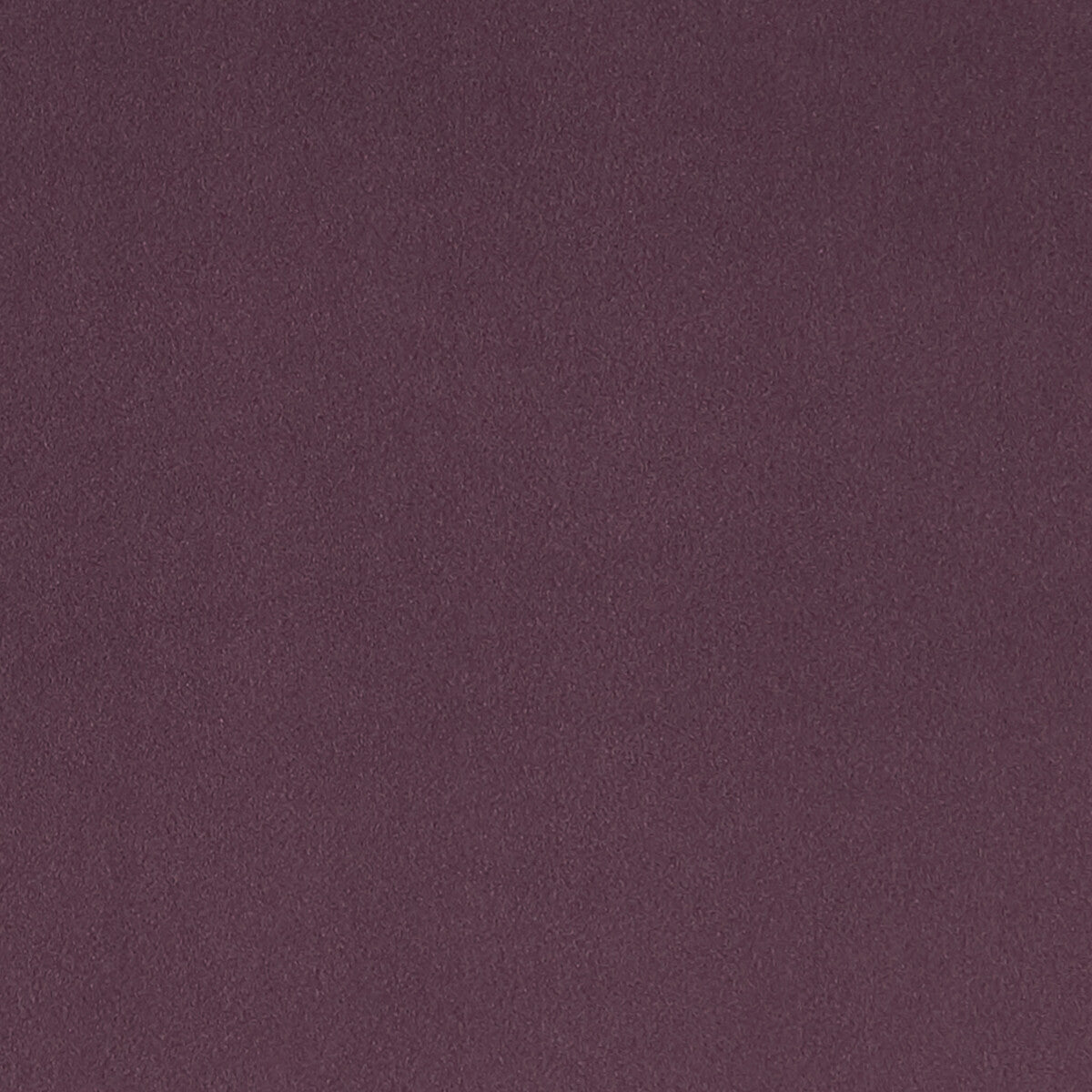 Lucca-Heather