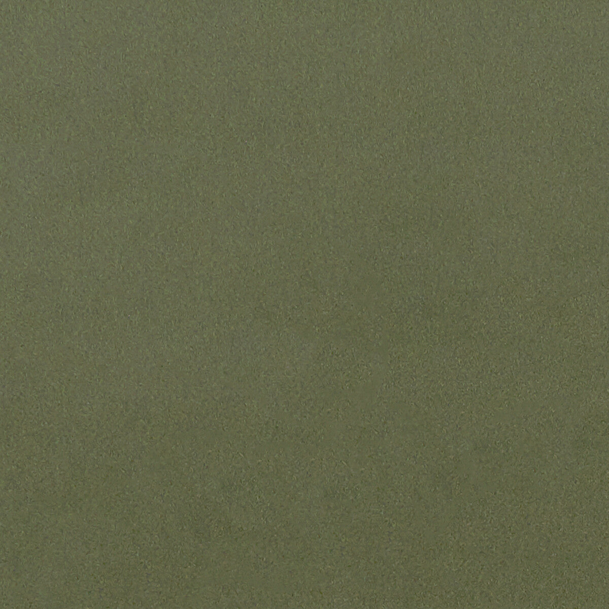 Lucca-Herb