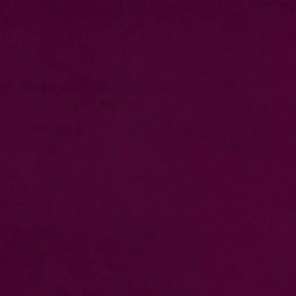 Lucca-Magenta