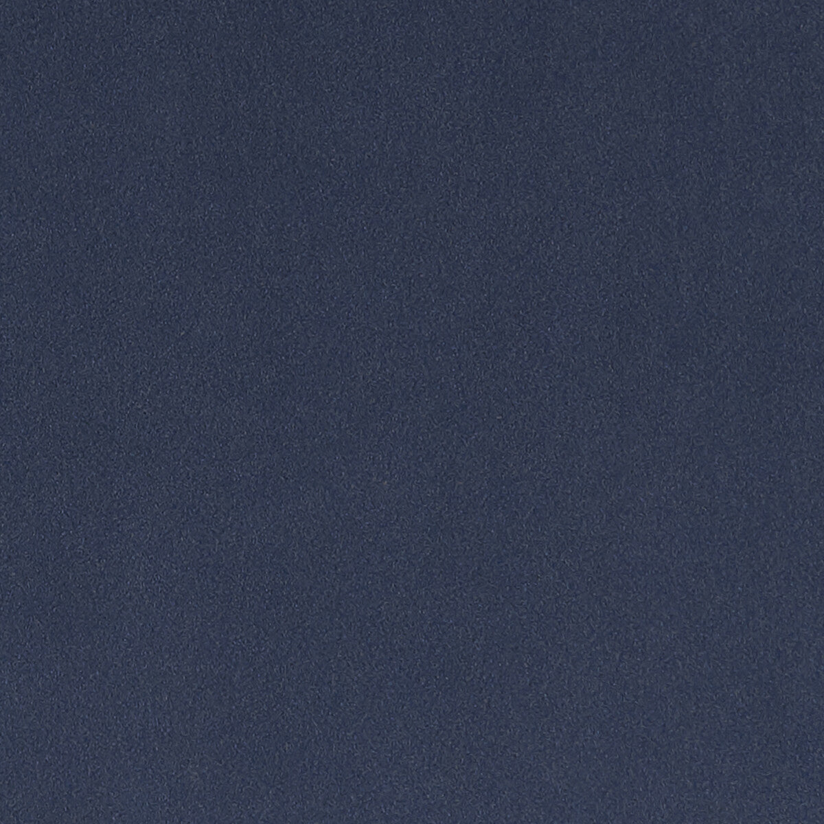 Lucca-Navy