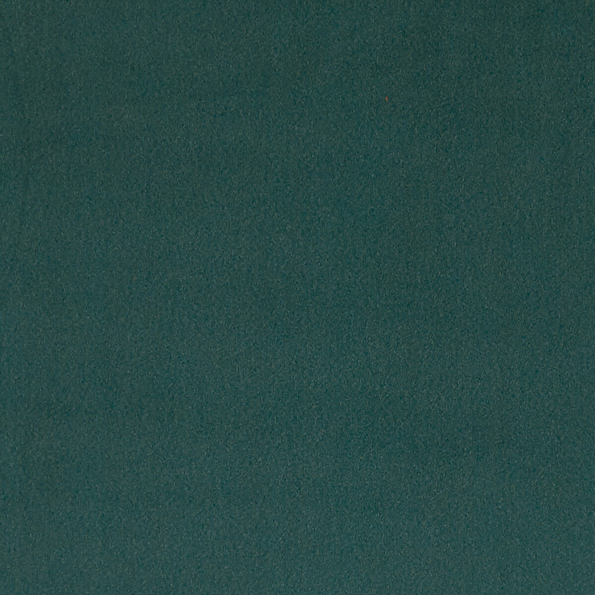 Lucca-Teal