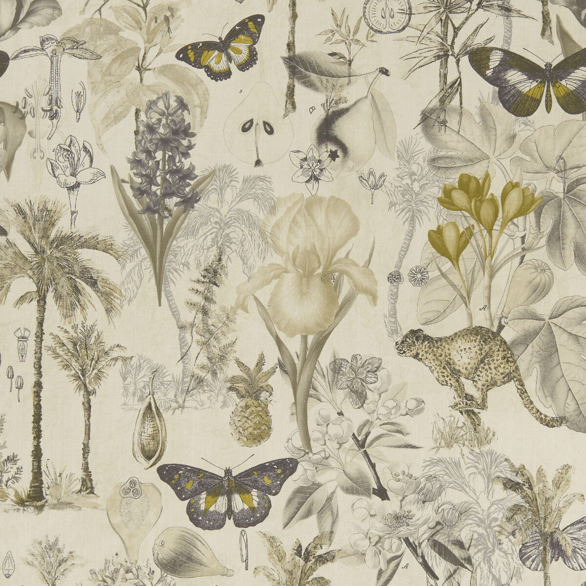 Botany-Charcoal/Chartreuse