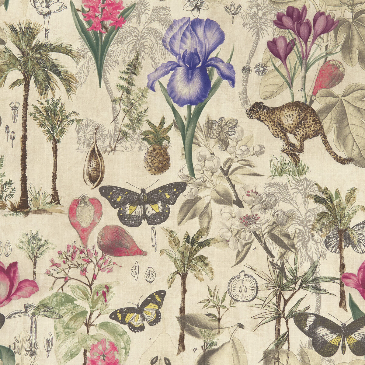 Botany-Summer