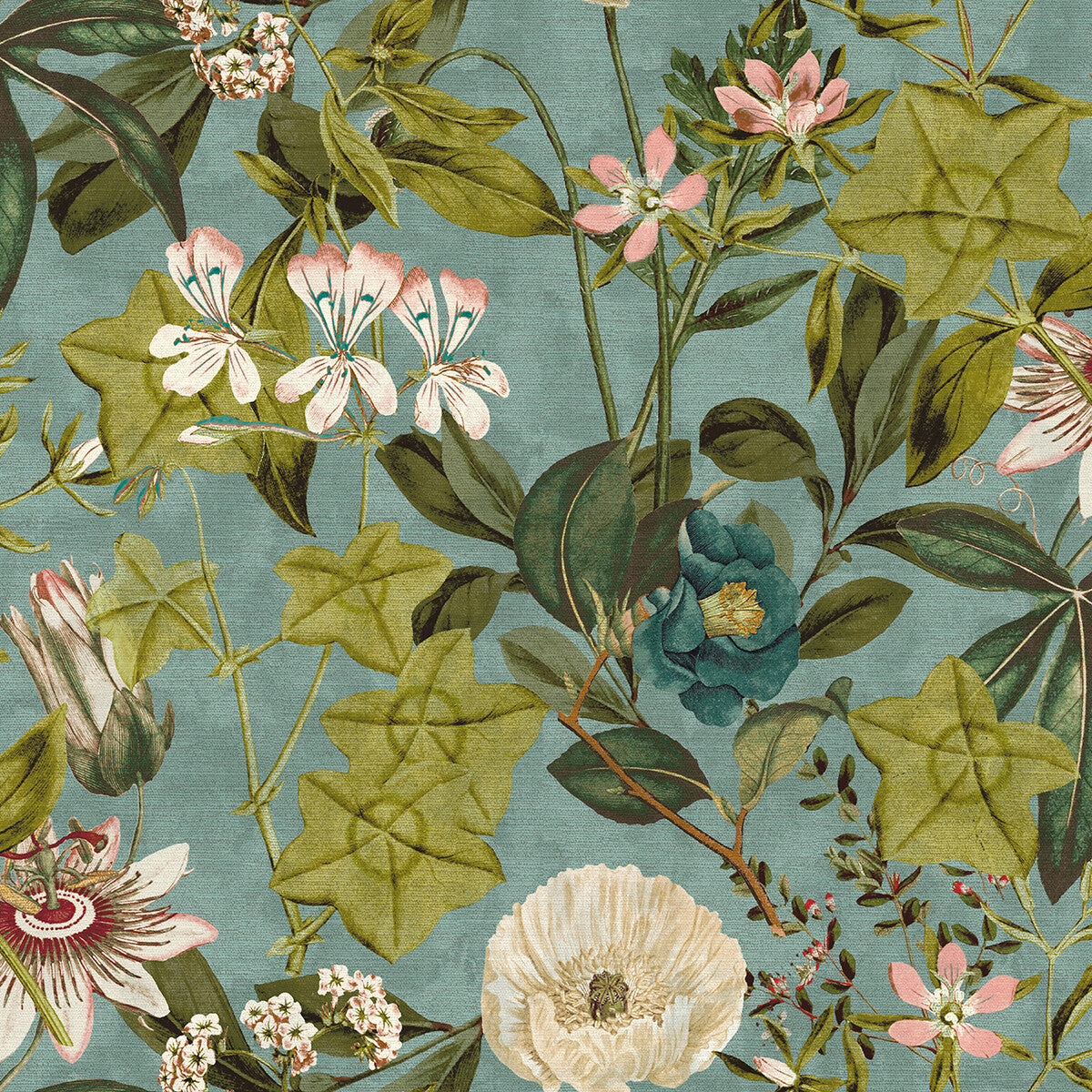 Passiflora-Mineral/Blush