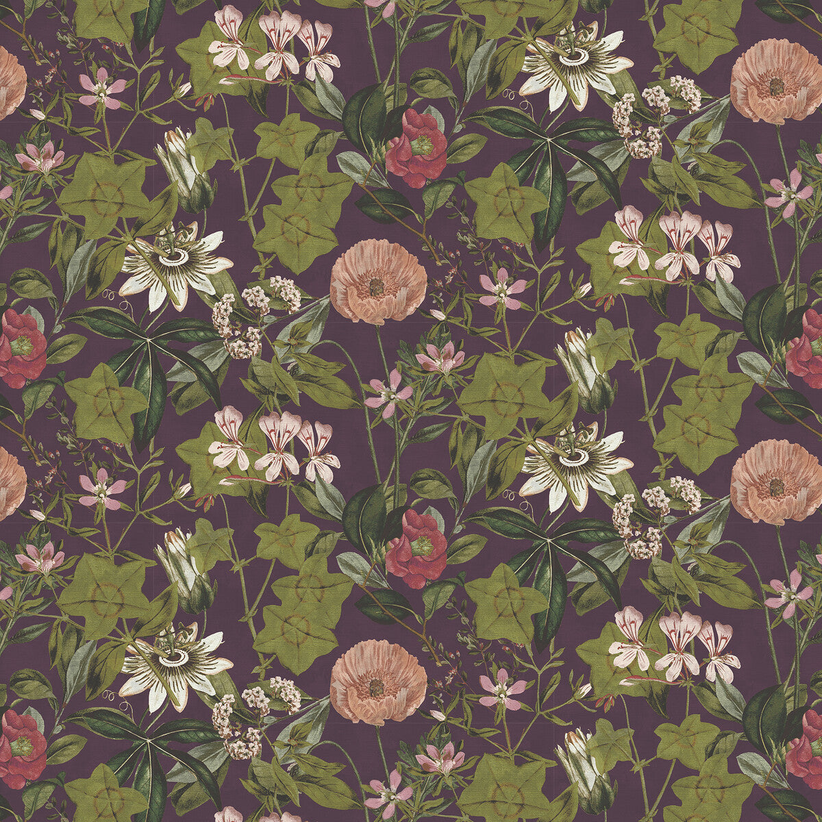 Passiflora-Mulberry Velvet