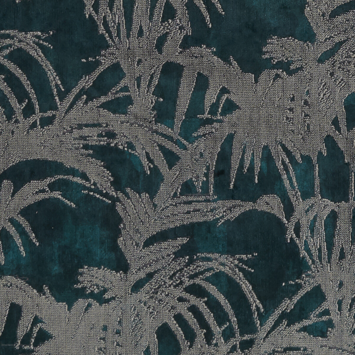 Tropicale-Kingfisher