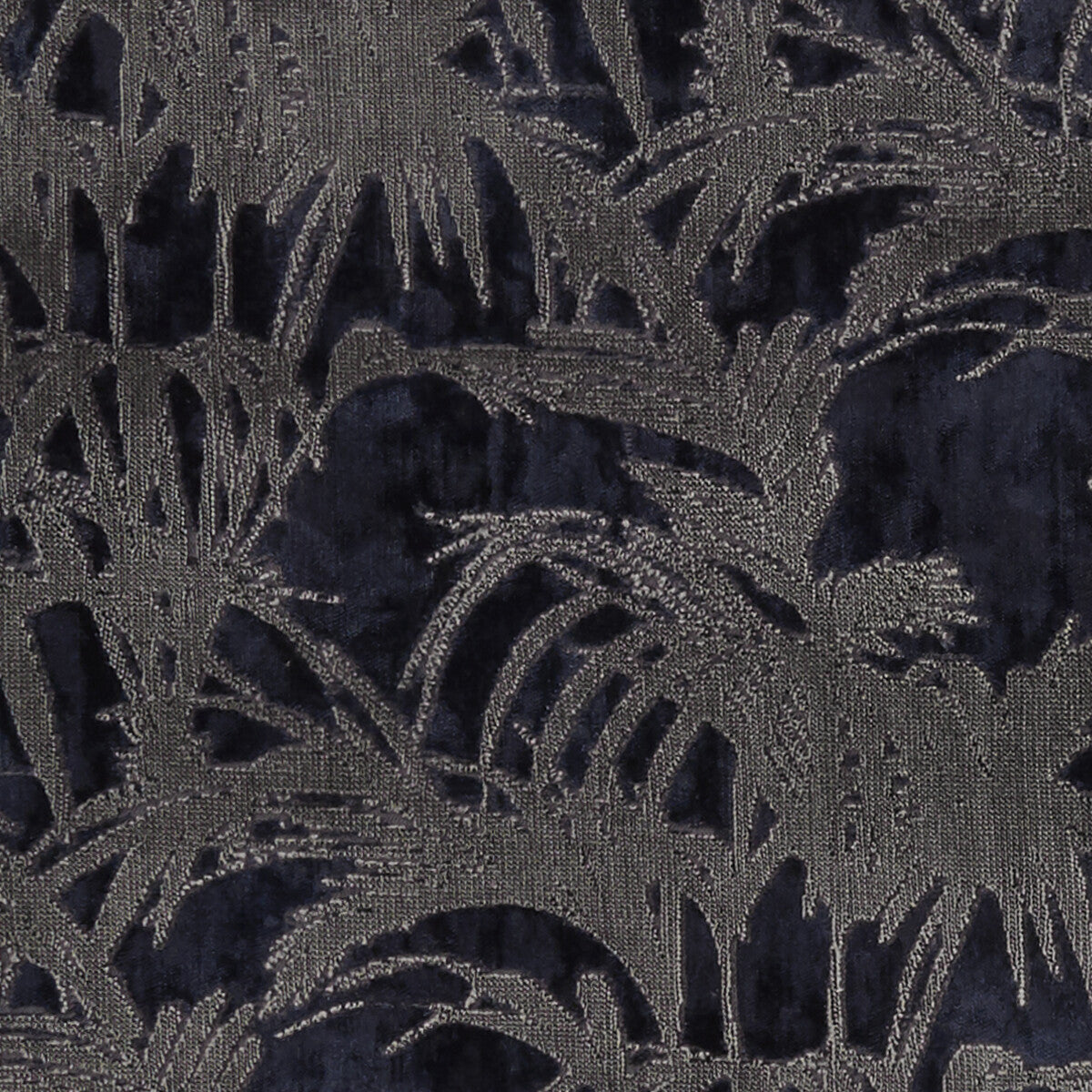 Tropicale-Midnight