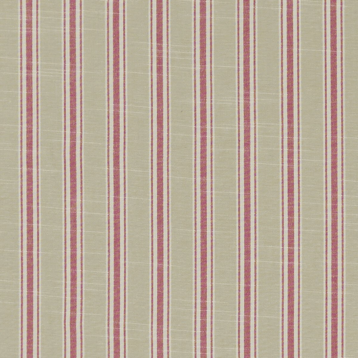 Thornwick-Fuchsia