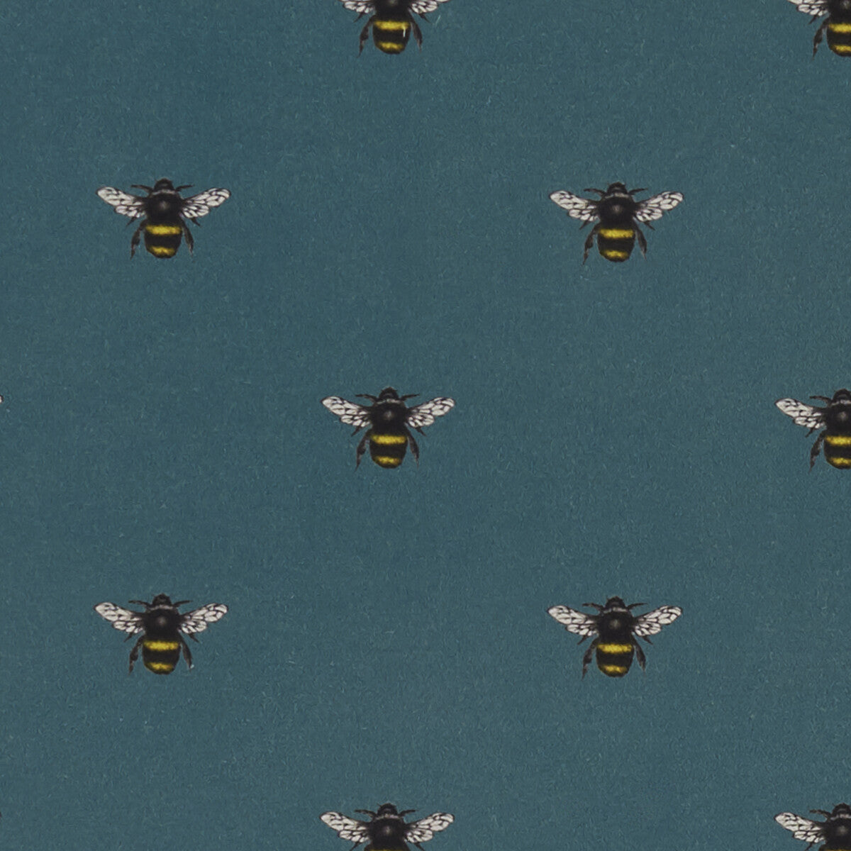 Abeja-Teal