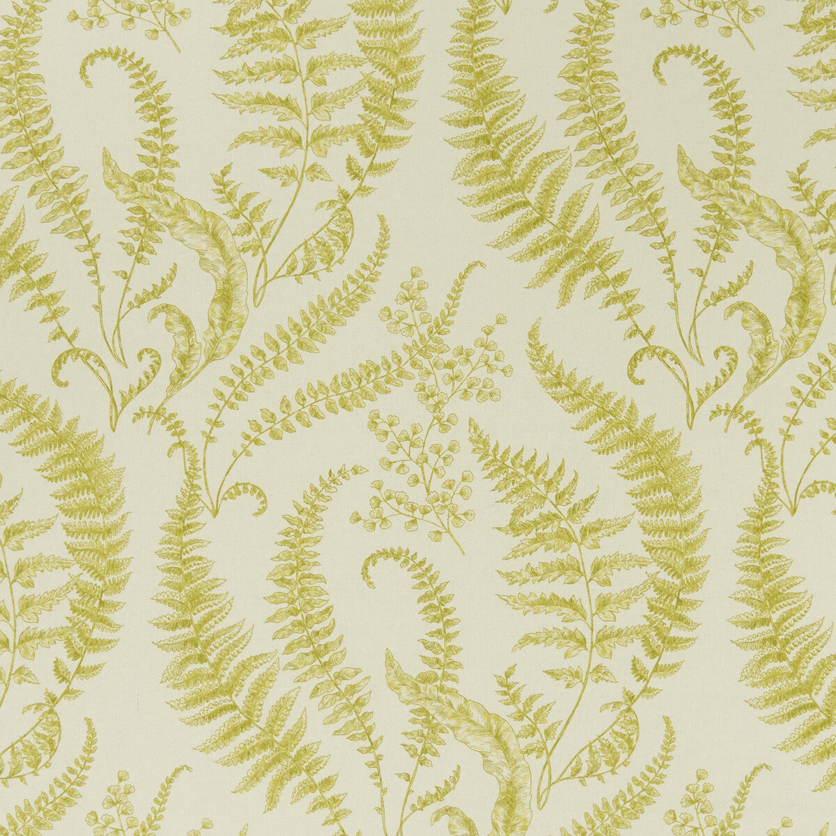 Folium-Chartreuse