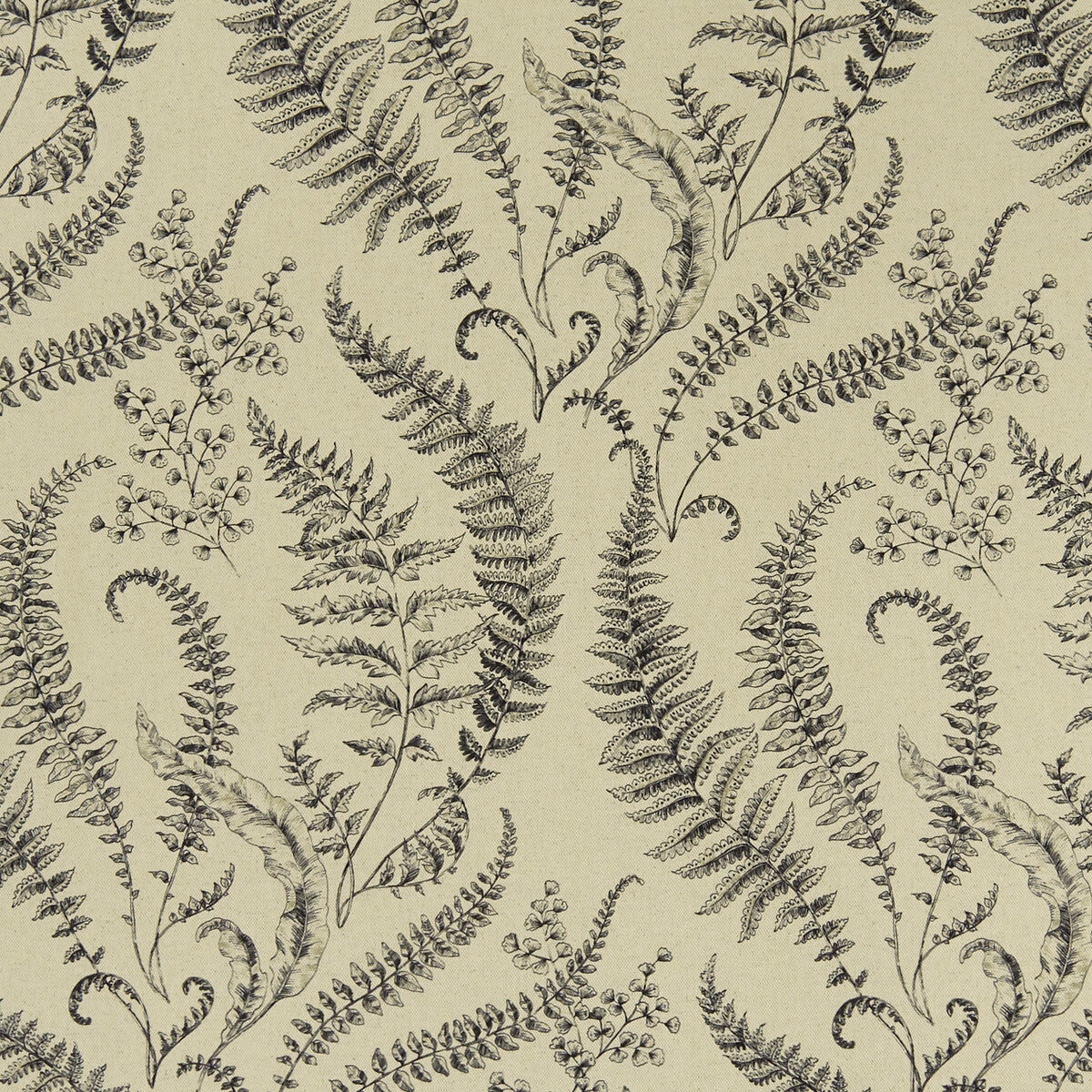 Folium-Linen