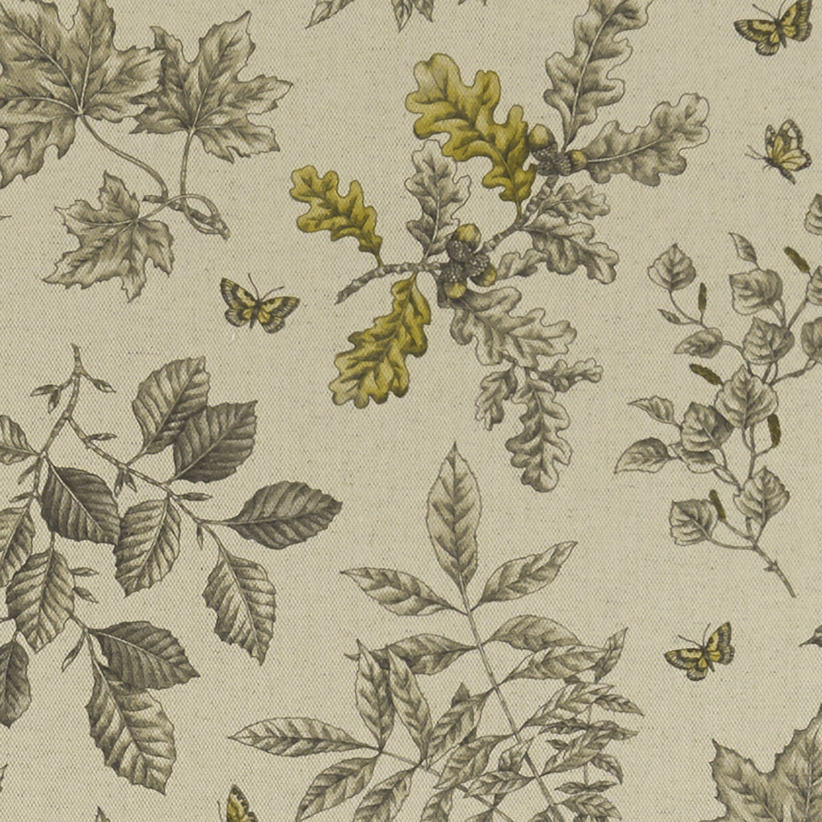 Hortus-Charcoal/Ochre