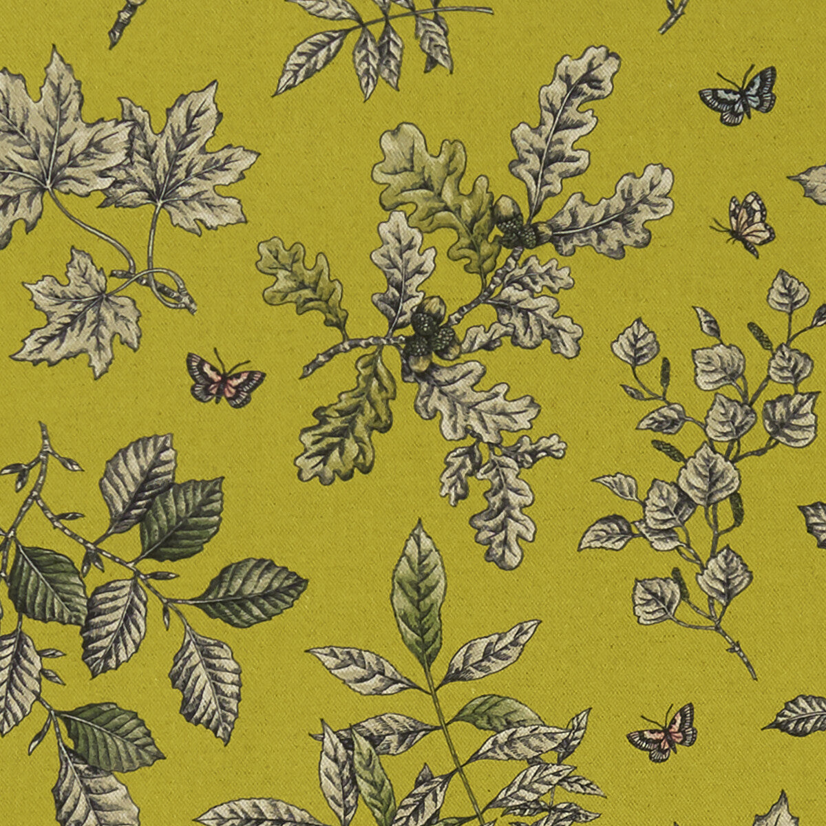 Hortus-Chartreuse