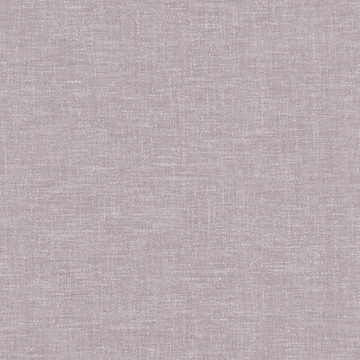 Kelso-Lilac