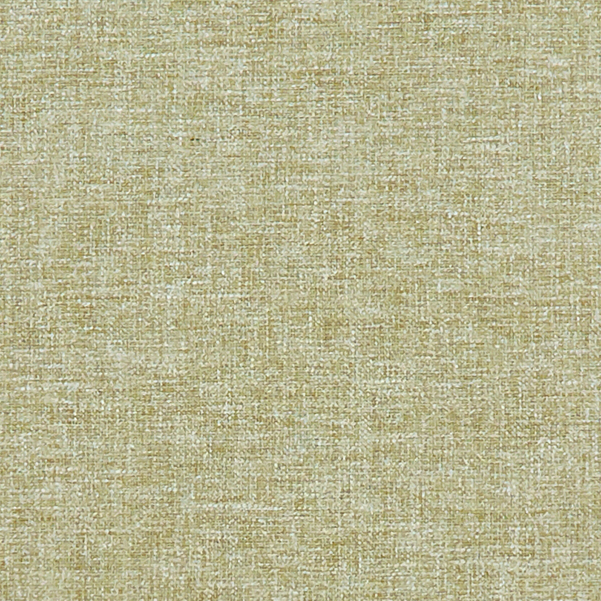 Kelso-Olive