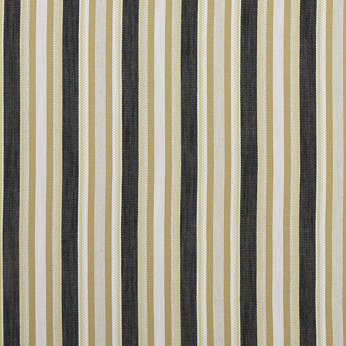Ziba-Charcoal/Ochre