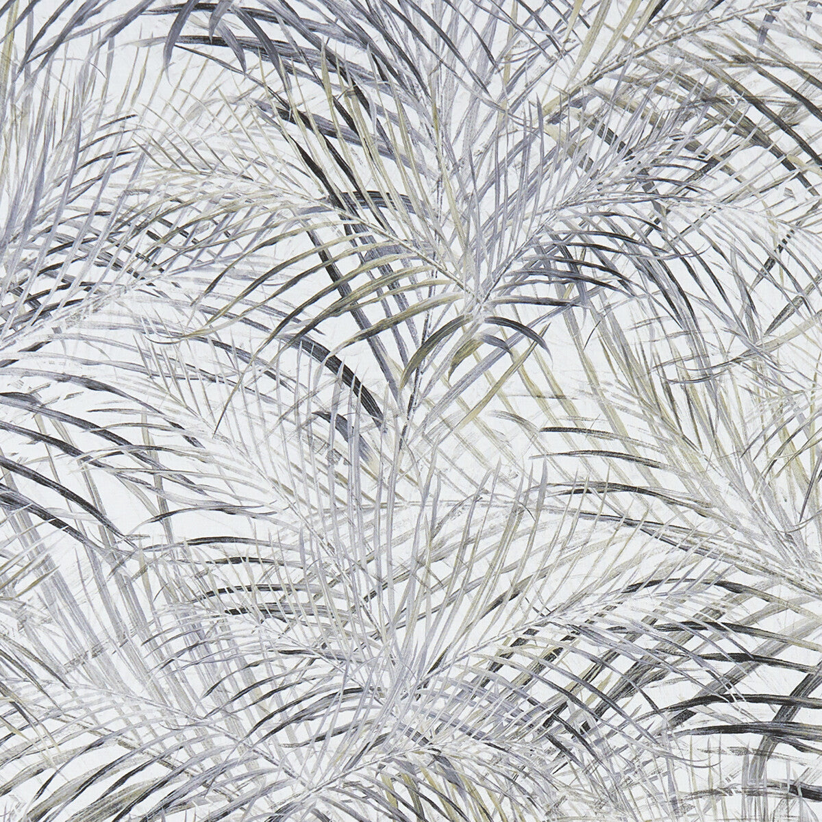 Palmero-Charcoal