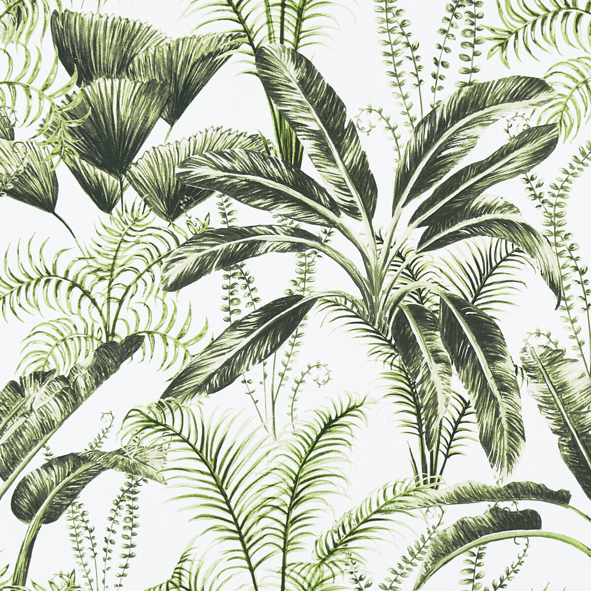 Majorelle-Ivory
