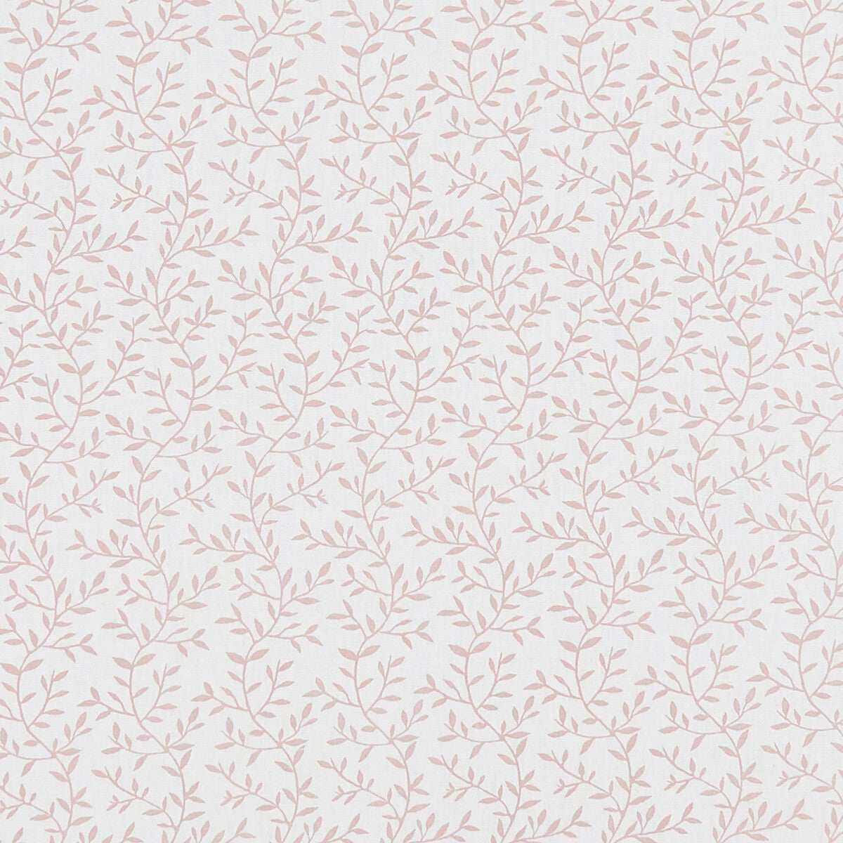 Lila-Blush