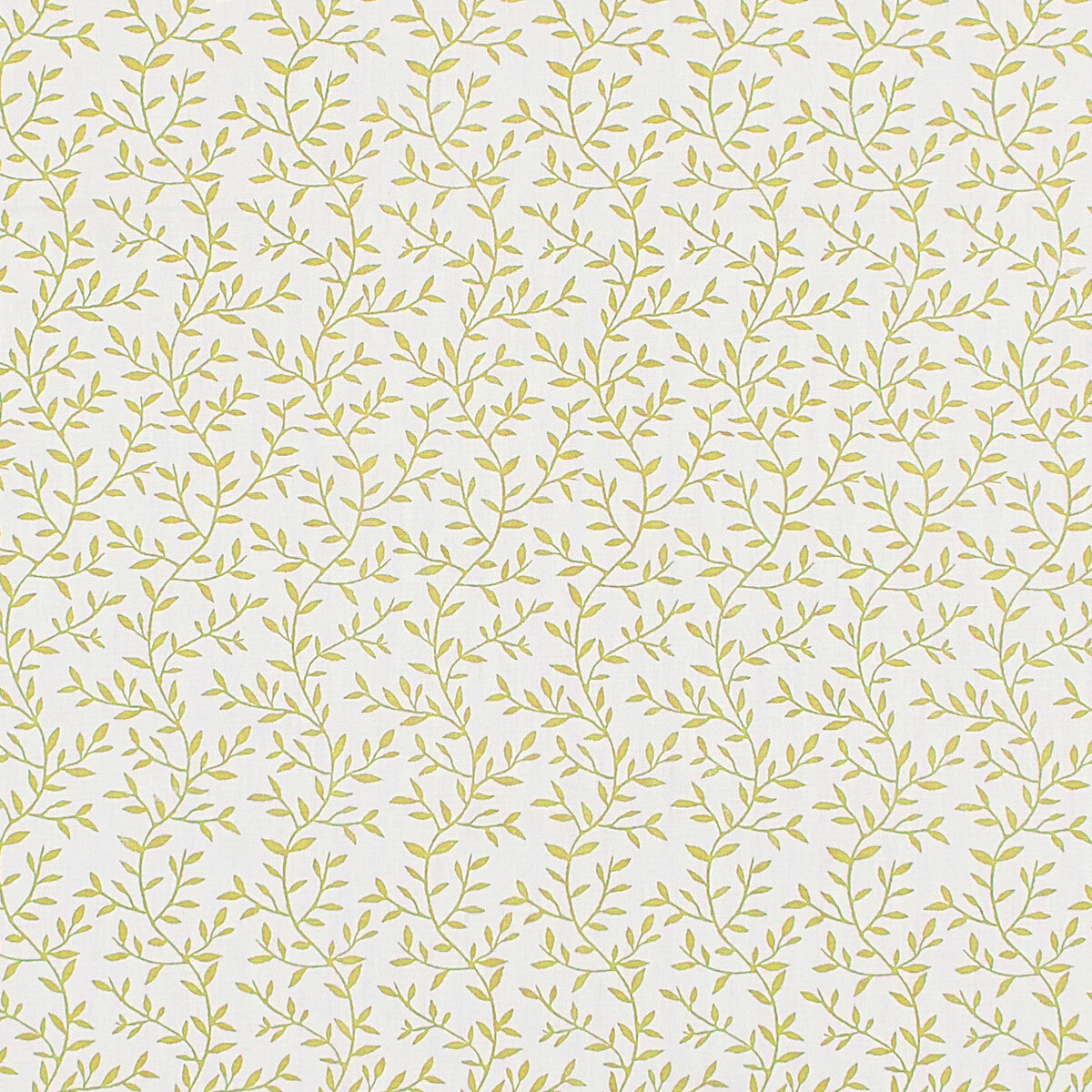 Lila-Citrus