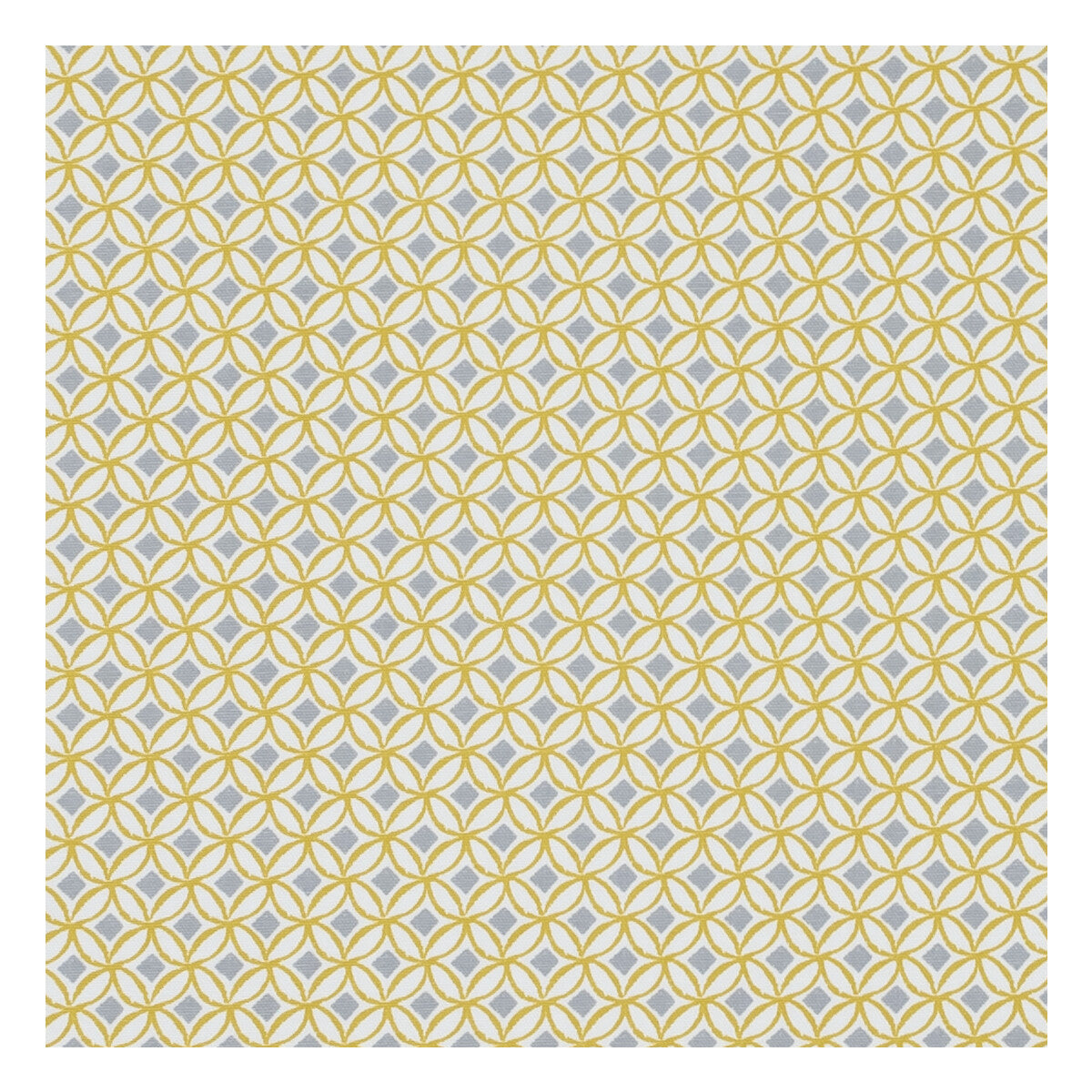 Ortis-Ochre