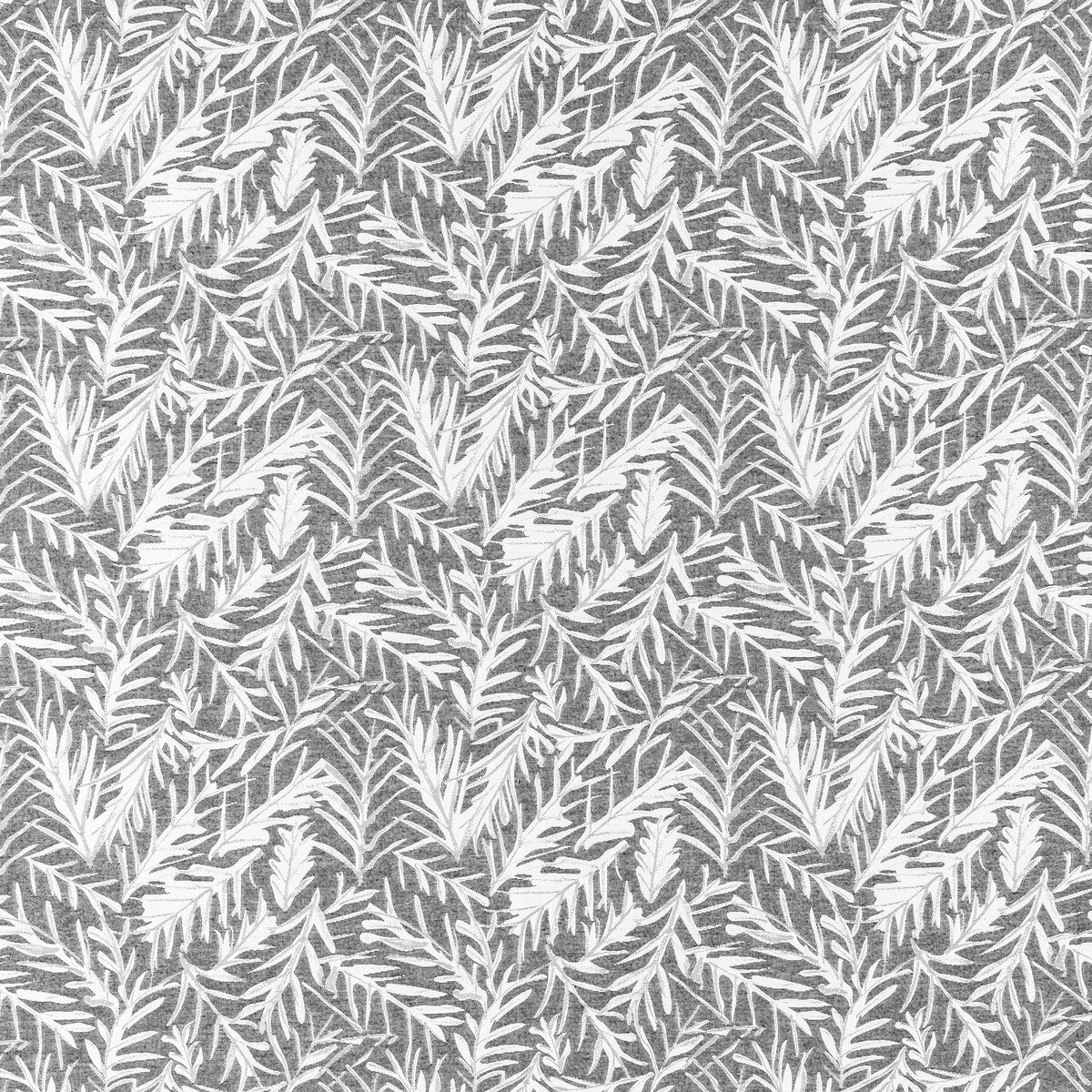 Anelli-Charcoal