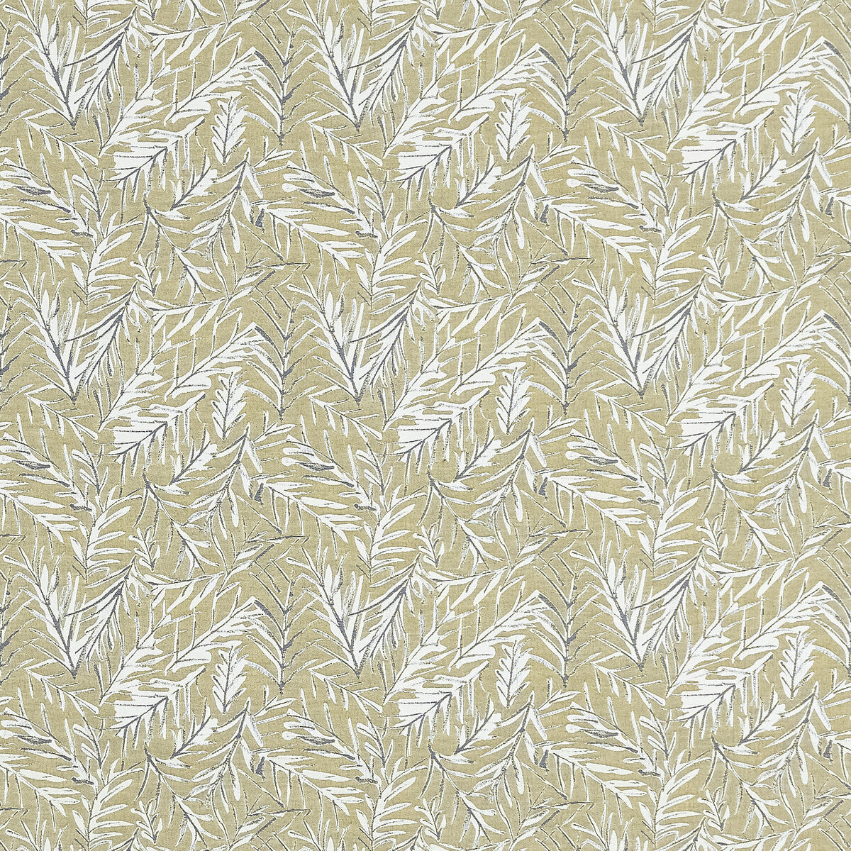 Anelli-Ochre