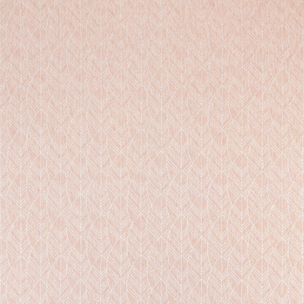 Atika-Blush