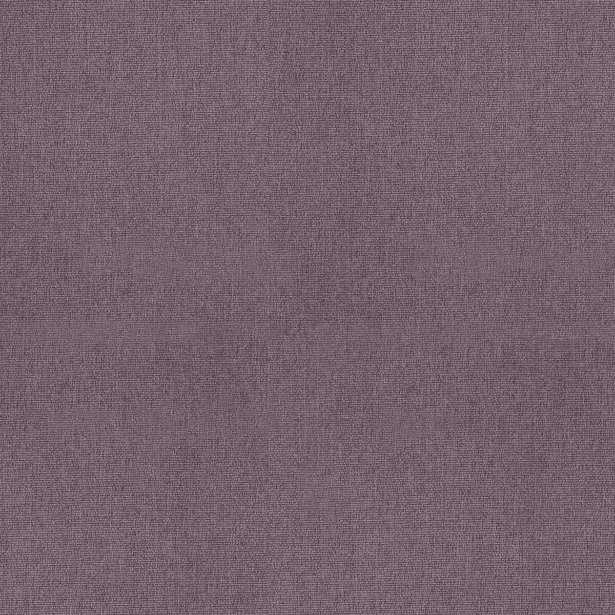 Acies-Amethyst