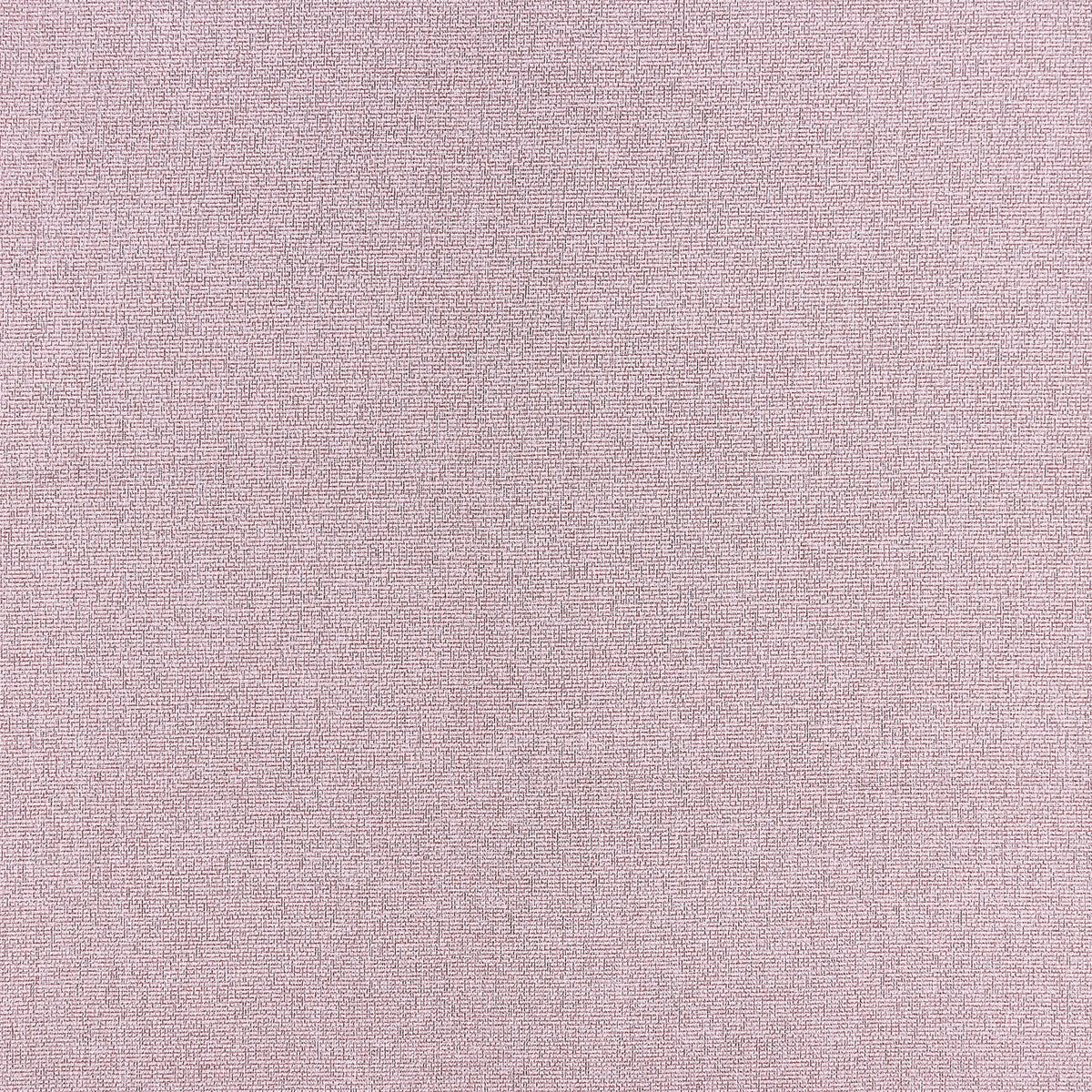 Acies-Blush