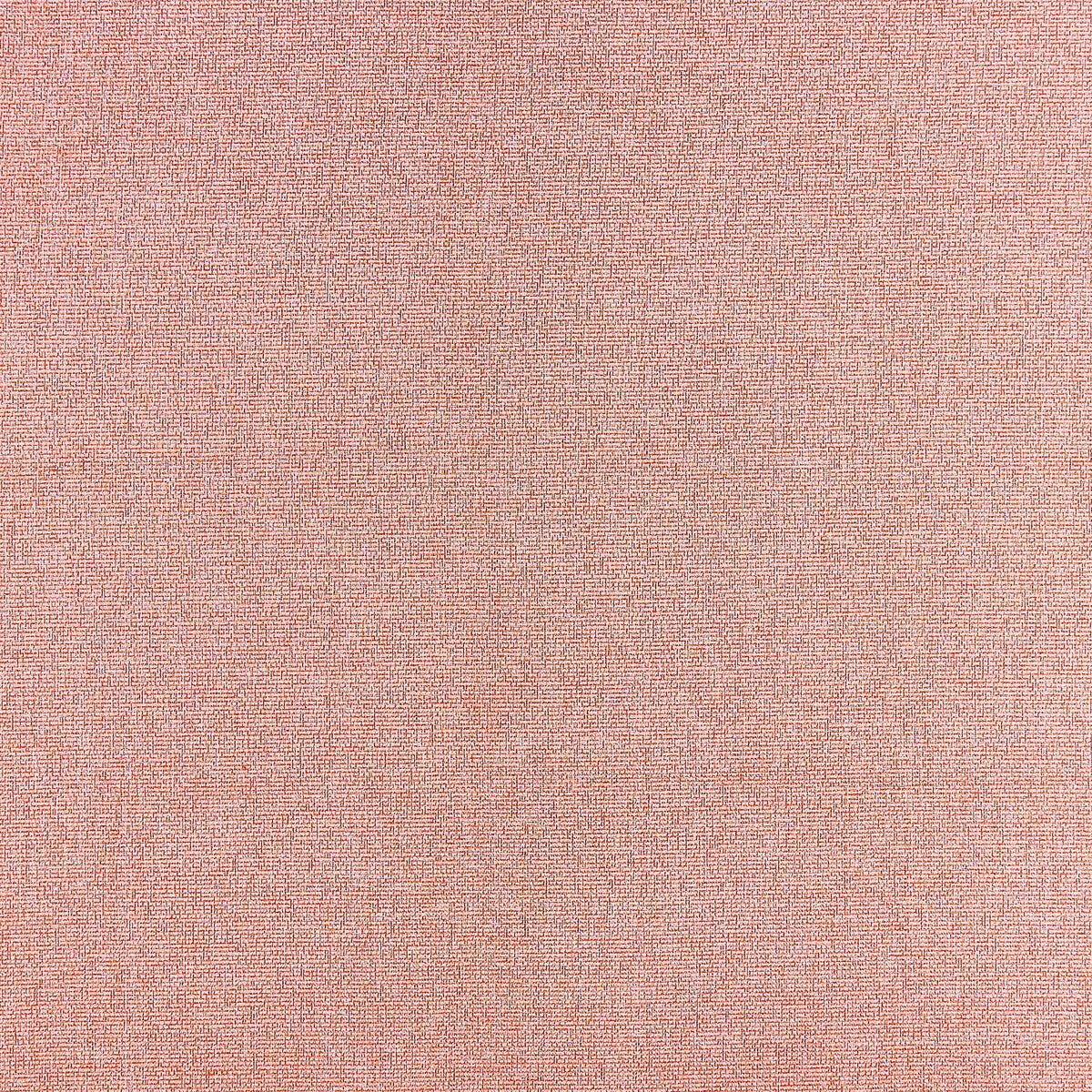 Acies-Spice