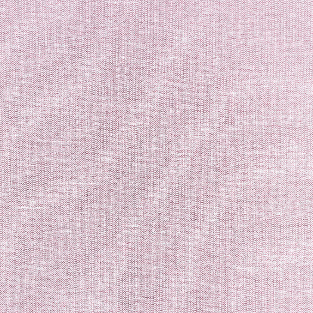 Claro-Blush