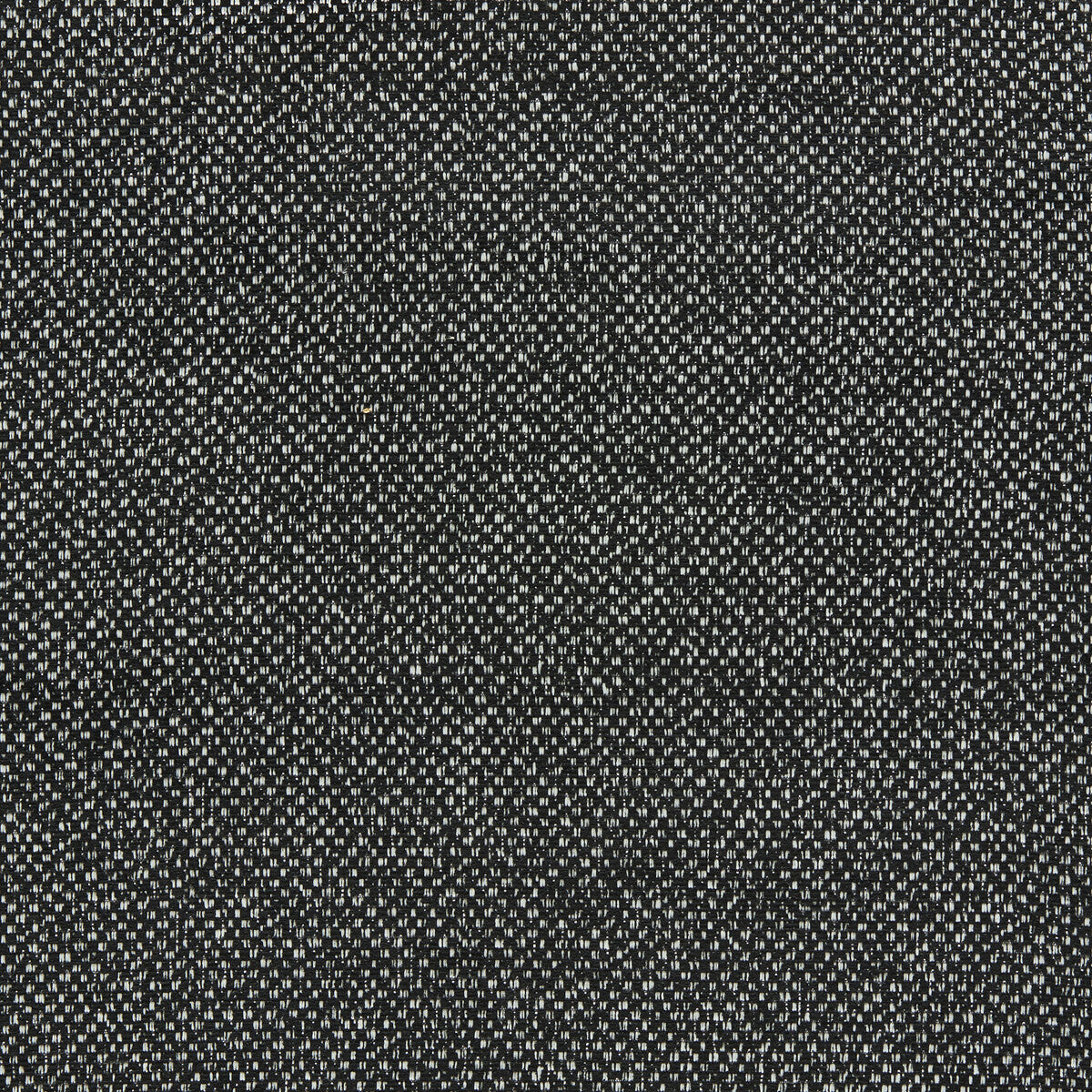 Filum-Ebony