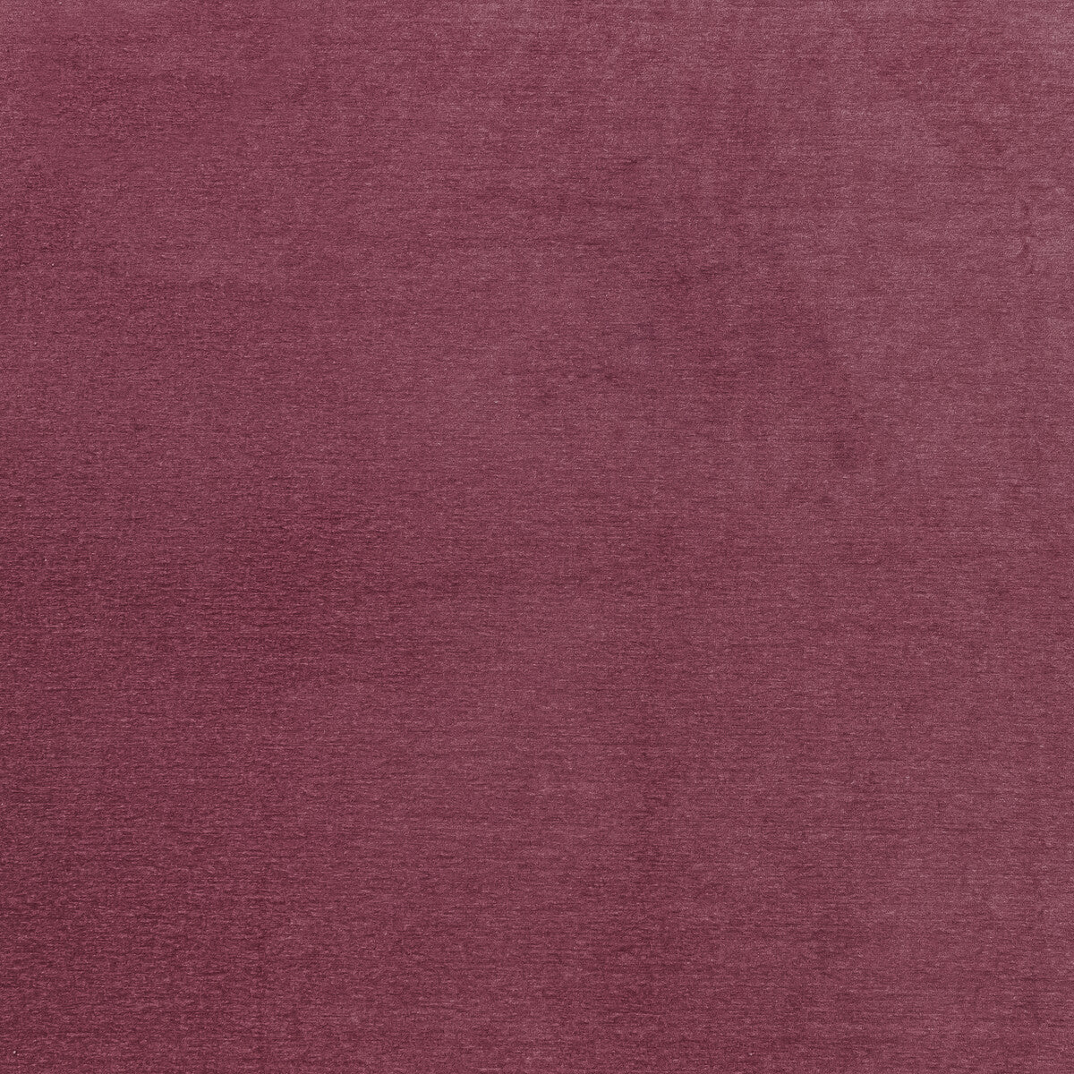 Maculo-Raspberry