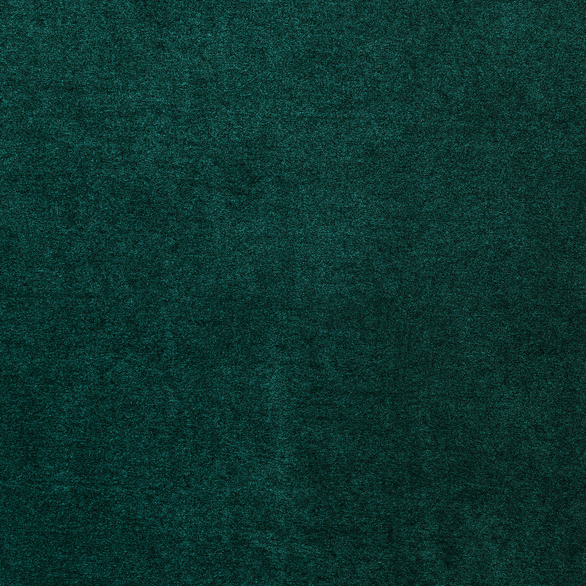 Maculo-Teal
