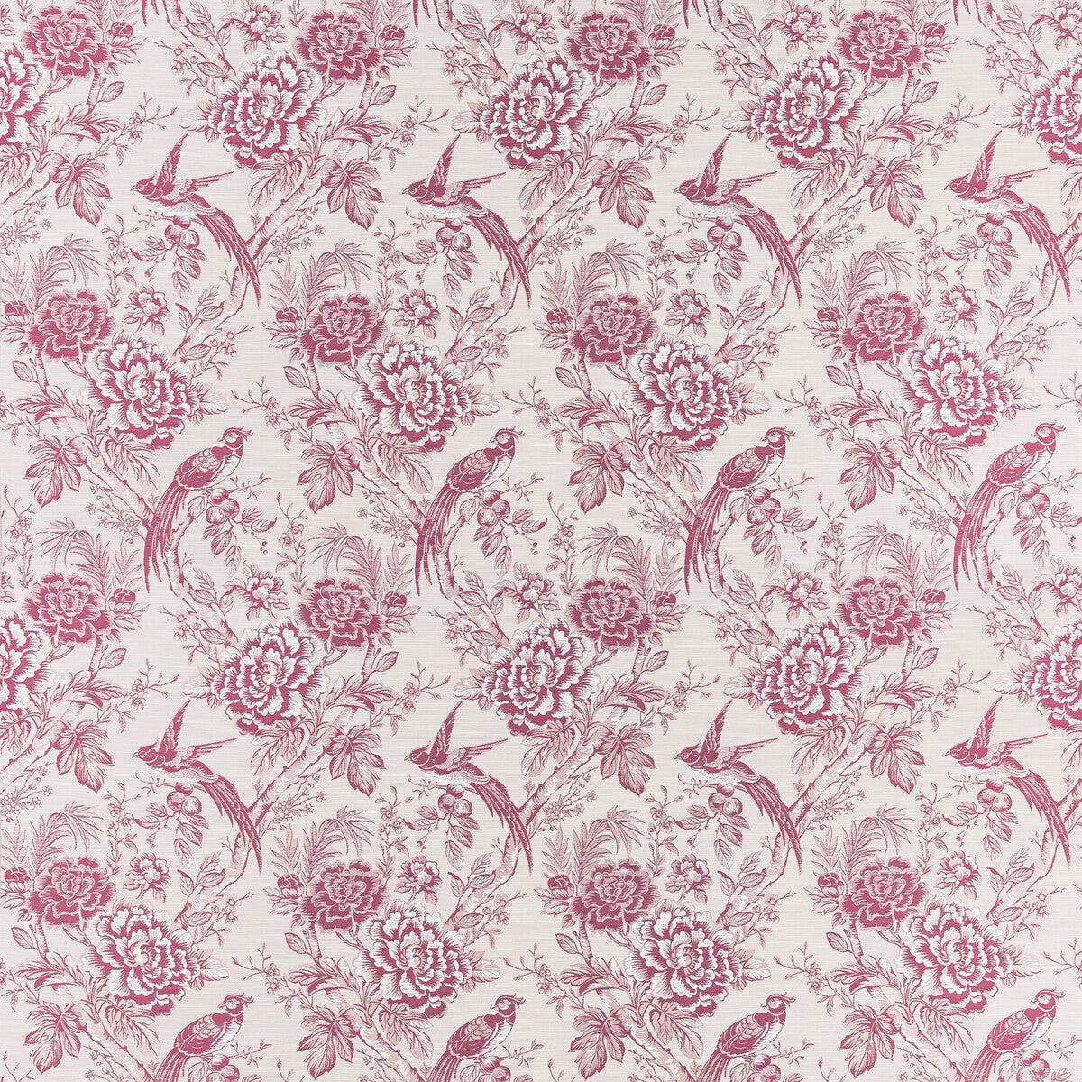Avium-Raspberry