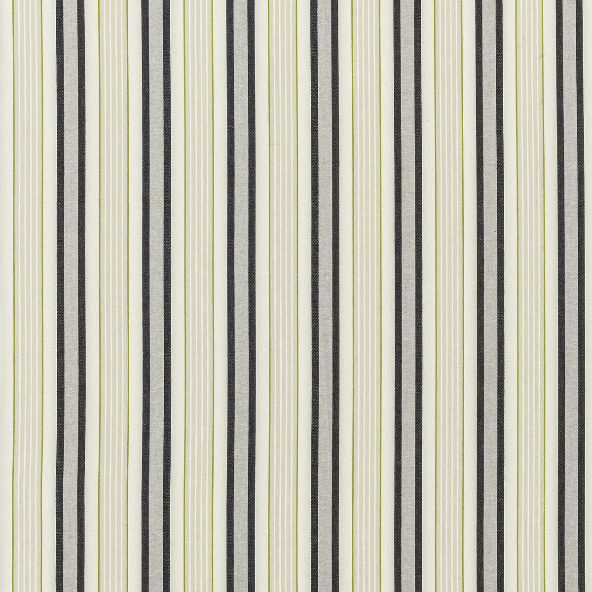 Belvoir-Charcoal/Chartreu