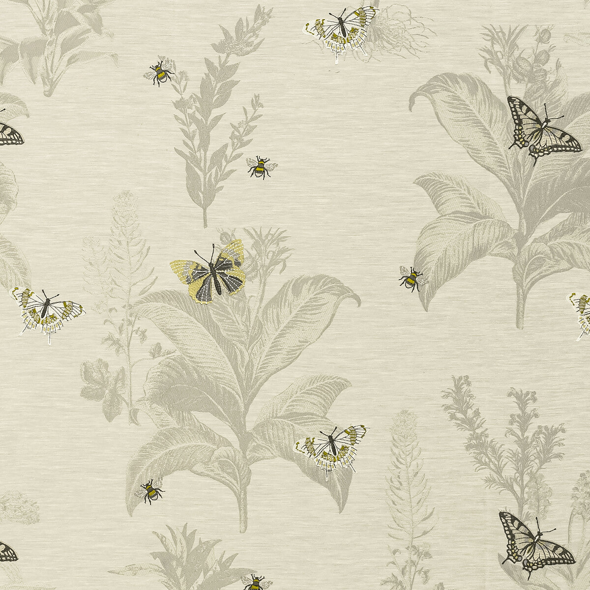 Monarch-Chartreuse