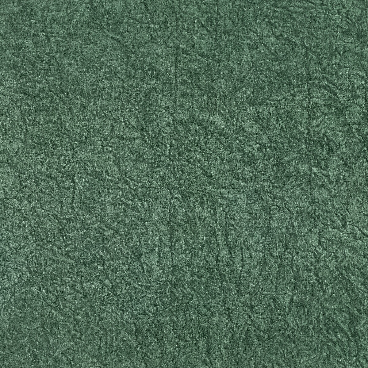 Abelia-Emerald